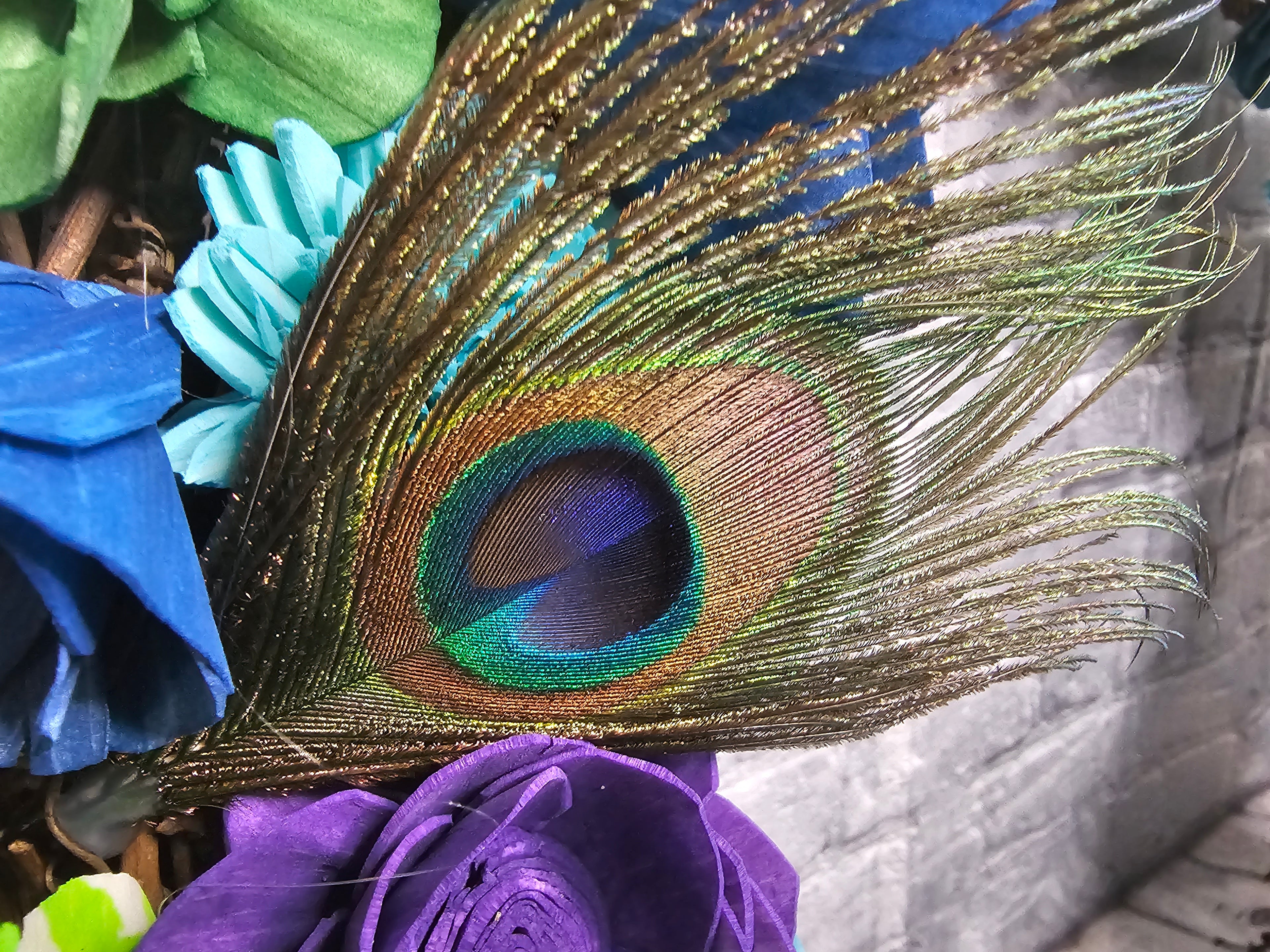 Peacock Sola Wood Grapevine Wreath | Peacock Feather Door Wreath | Teal Blue Green Floral Wreath | Custom Handmade Forever Floral Decor